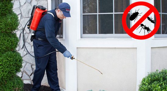 Hanak Karınca İlaçlama böcek ilaçlama ve haşere kontrolü — ilaclama-tr.com